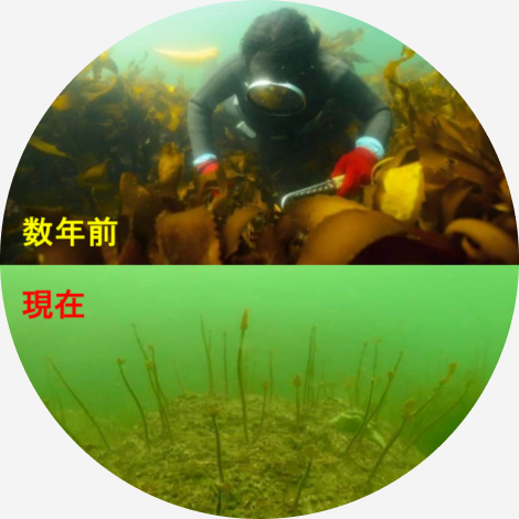 長久保晶さん