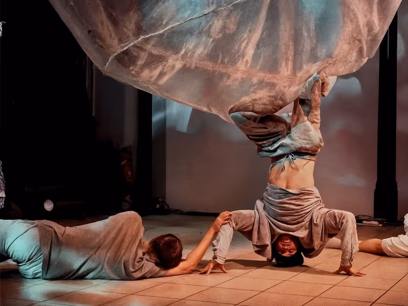 Tanzausbildung Berlin Bildungsjahr Tanz Seneca Intensiv