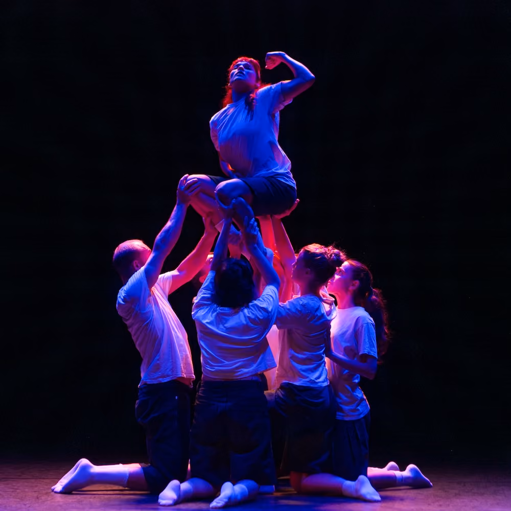 Blick in das helle, großzügige Tanzstudio von SENECA INTENSIV, einer spezialisierten Ausbildungsschule für zeitgenössischen Tanz und interdisziplinäre Bewegungskunst in Berlin-Marzahn.