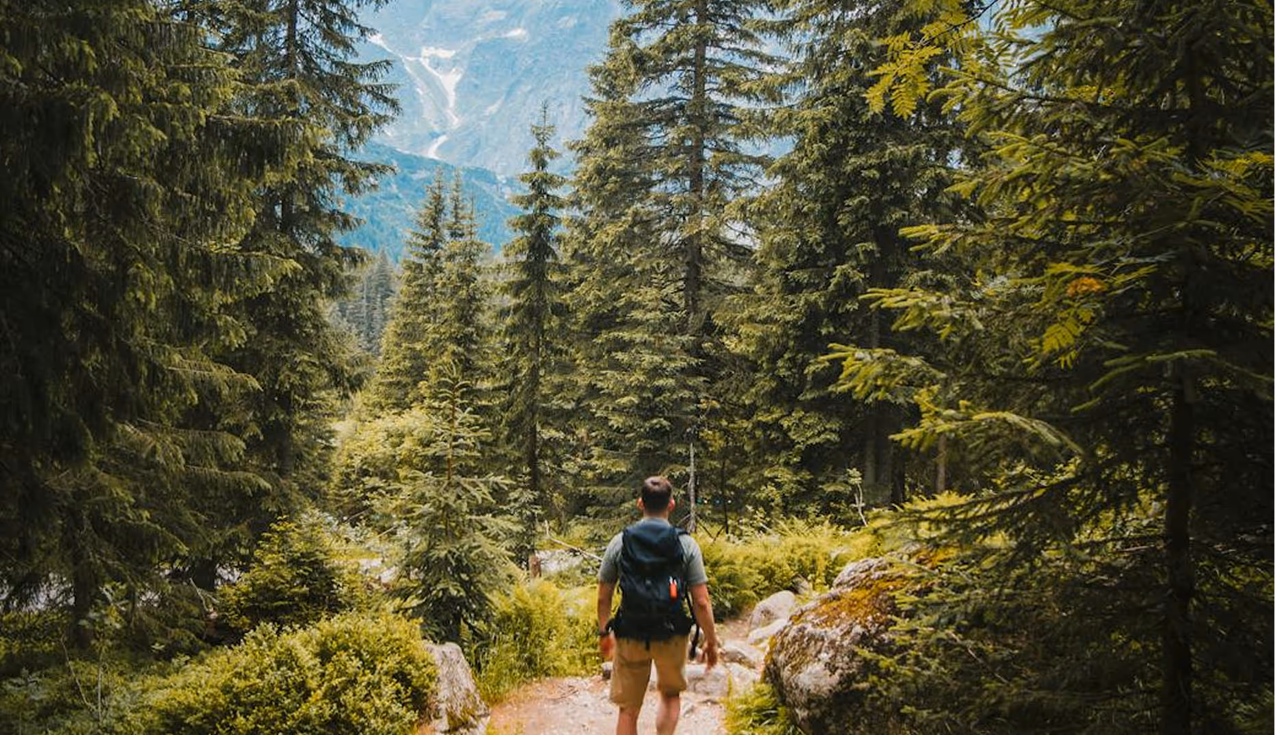 Man with a backpack hiking on a forest trail surrounded by tall evergreen trees and mountains in the background.