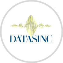 Logo Datasinc