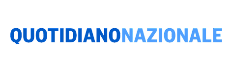 quotidiano nazionale logo