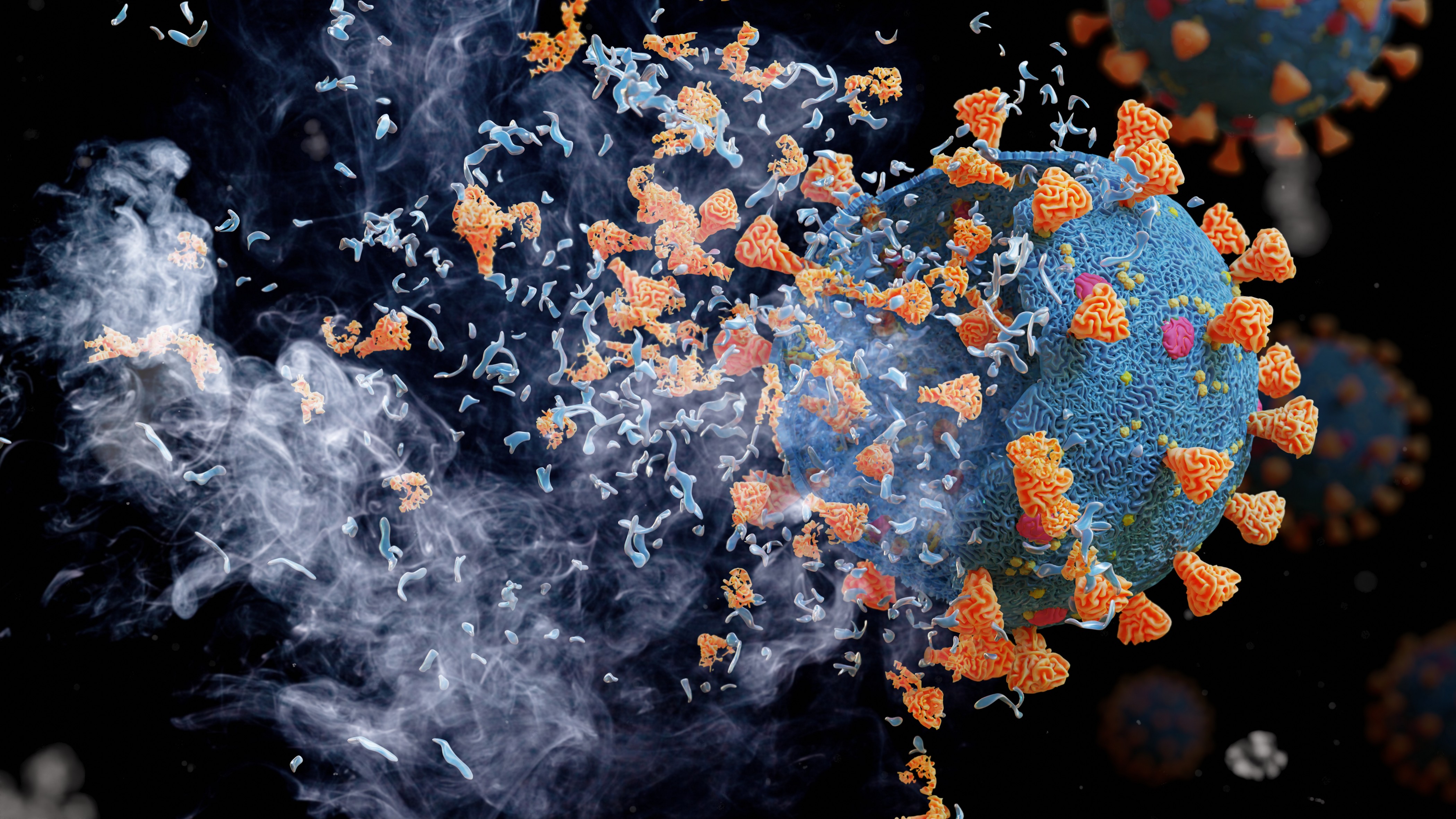 Why the Spaulding Classification Matters for UV-C Disinfection in Healthcare