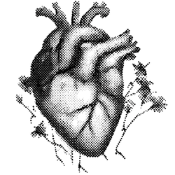 Nutritionn Magnesium Glycinate for Hearth