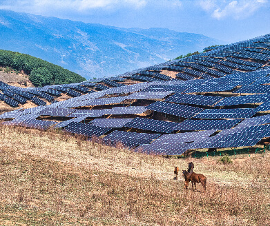 Two llamas standing in a grassy field near a large array of solar panels on a hillside with mountains in the background.