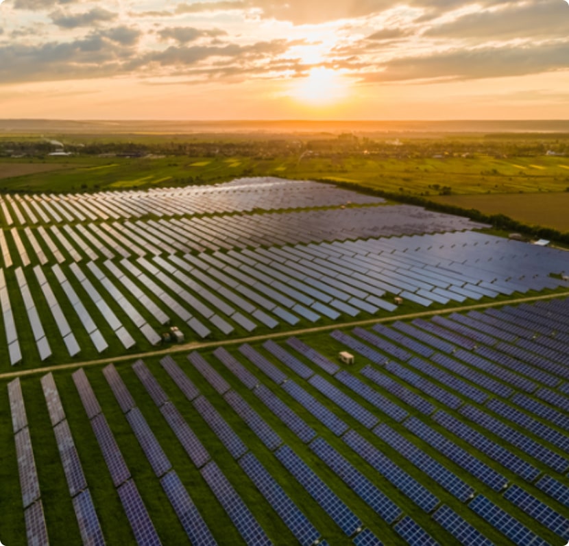 Aerial view of a large solar farm with rows of solar panels capturing sunlight during a golden sunset.