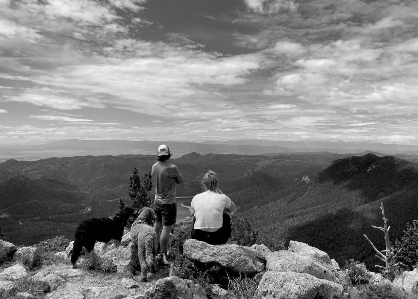 Foggy mountain landscape with layers of pine tree forests in the foreground and misty peaks in the background.