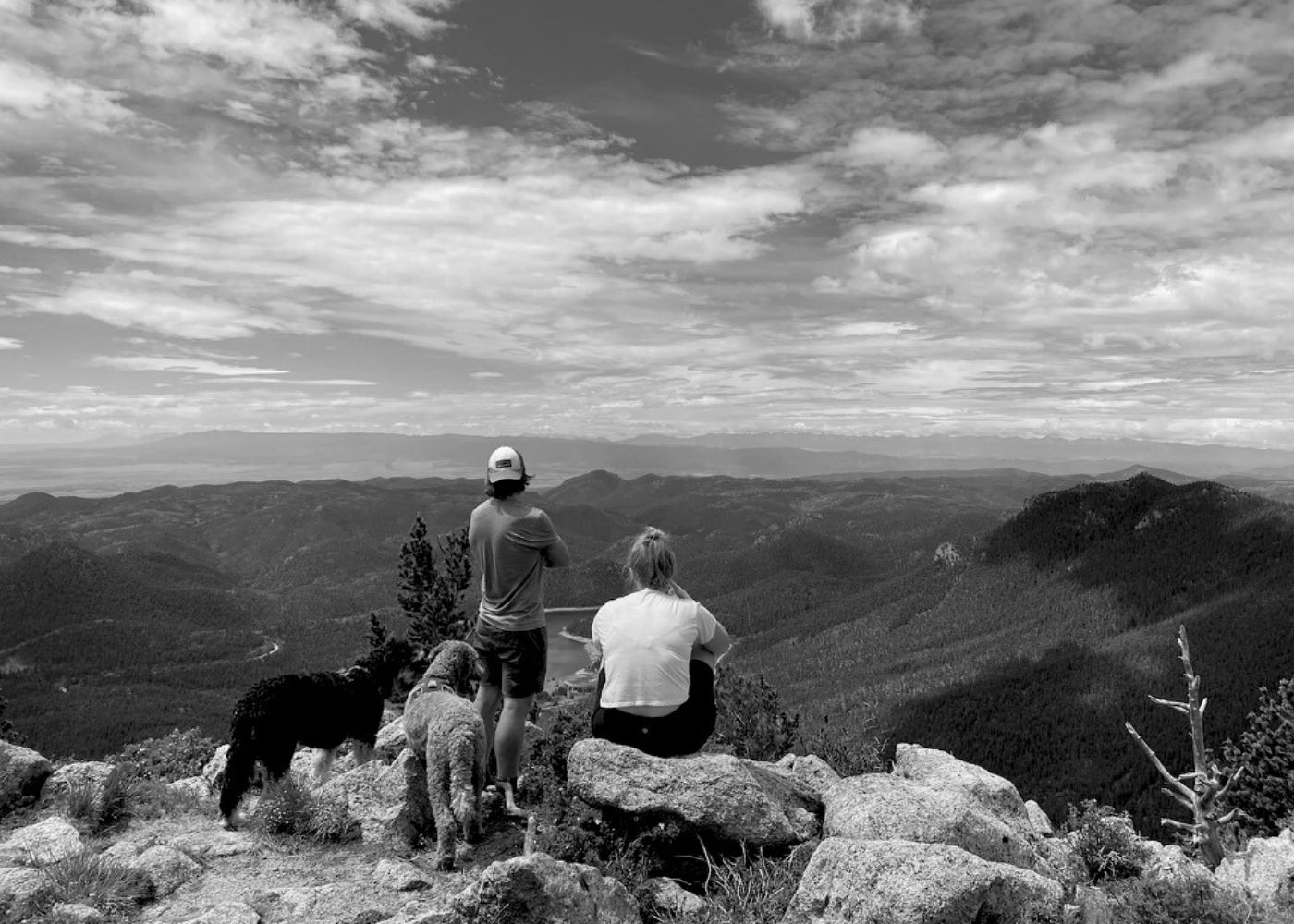 Foggy mountain landscape with layers of pine tree forests in the foreground and misty peaks in the background.