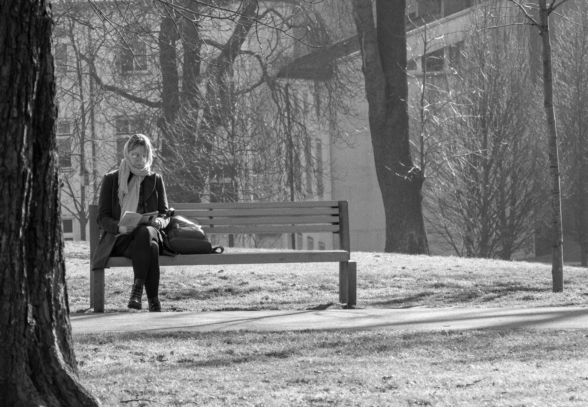 36X25 chica en un parque inmersa en la lectura de un libro mientras toma el sol