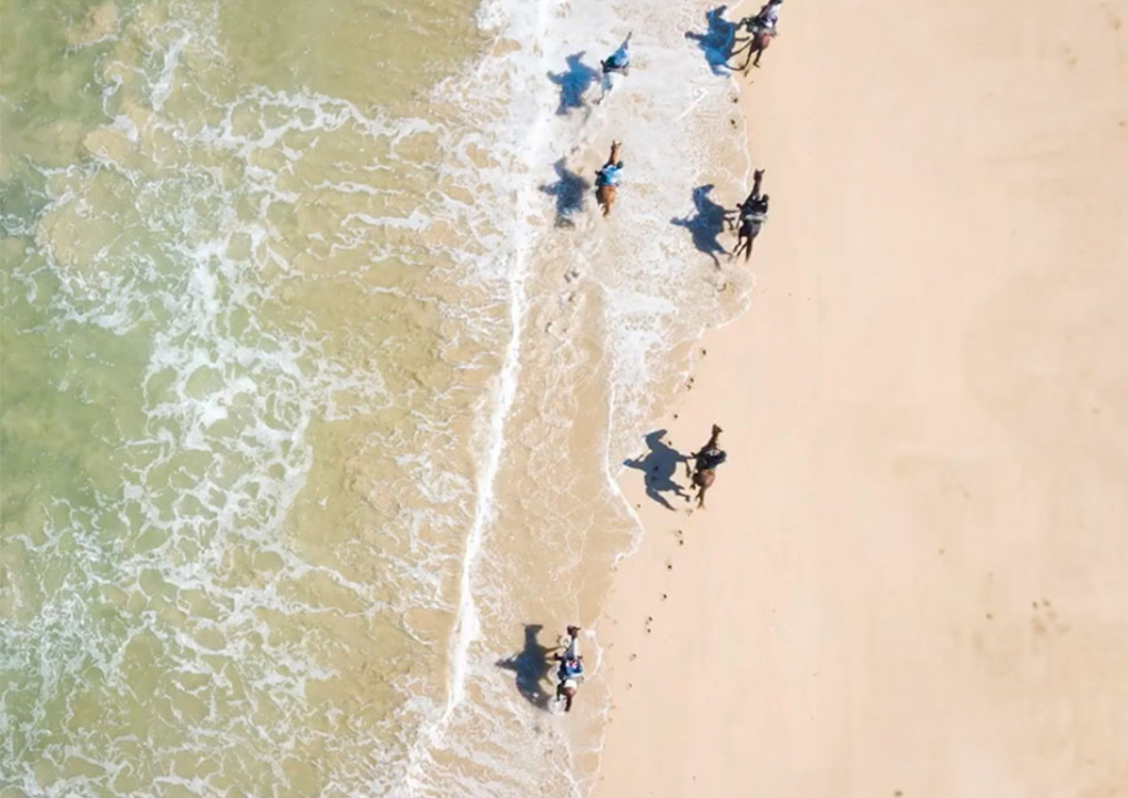 Beach Combs horse riding trails