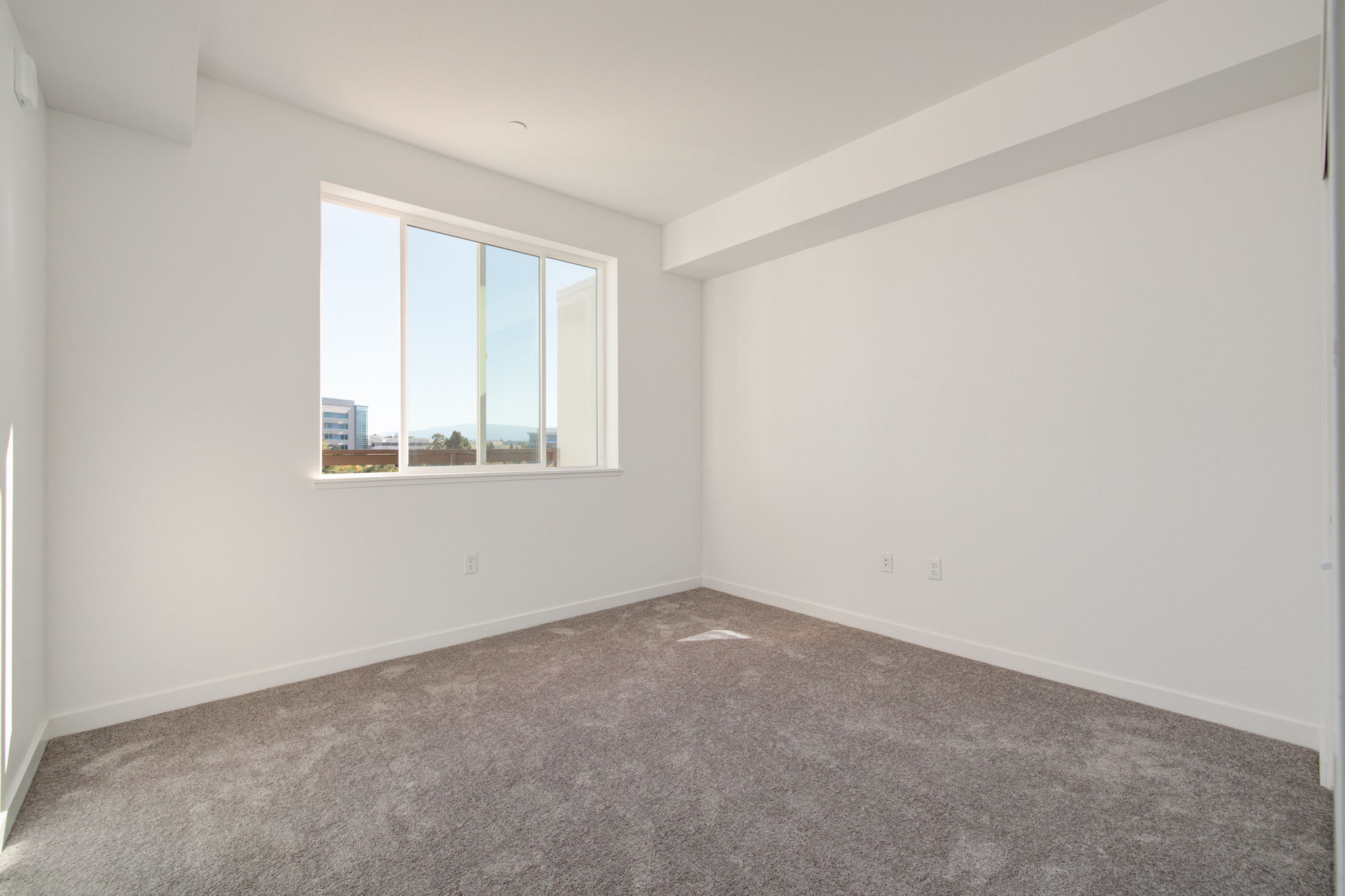Unfurnished bedroom with carpet and large window