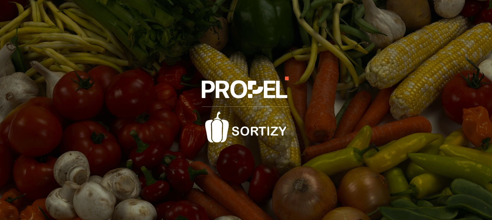 3x Click Rate Boost: Sortizy’s Lifecycle Marketing Strategy