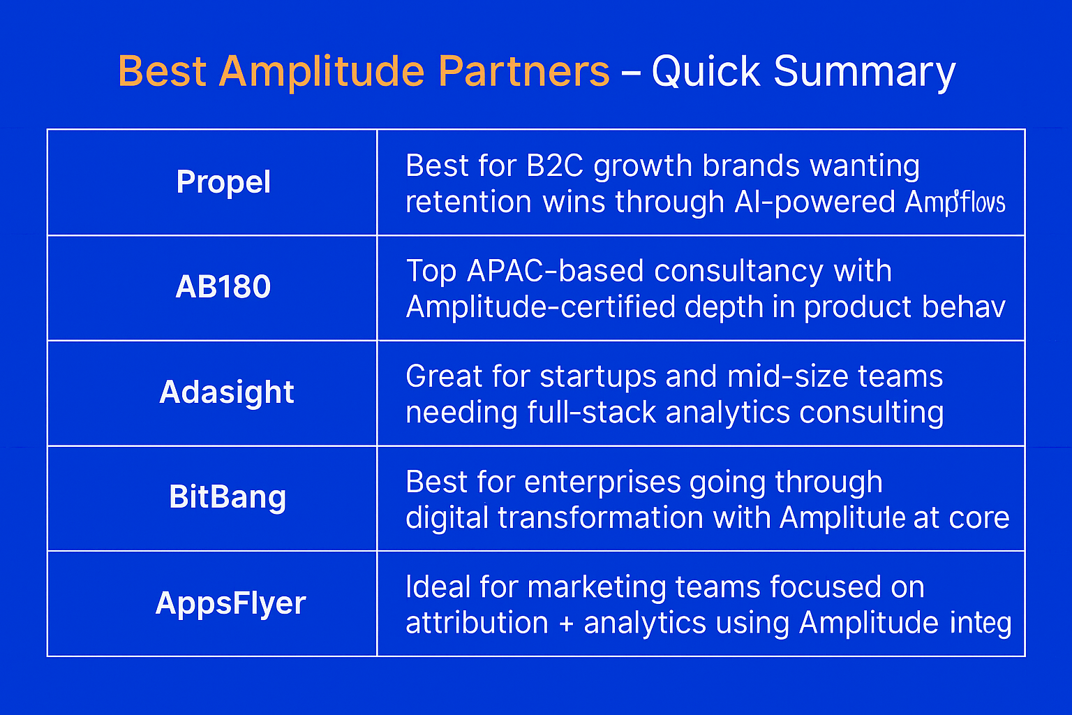 best amplitude partners list