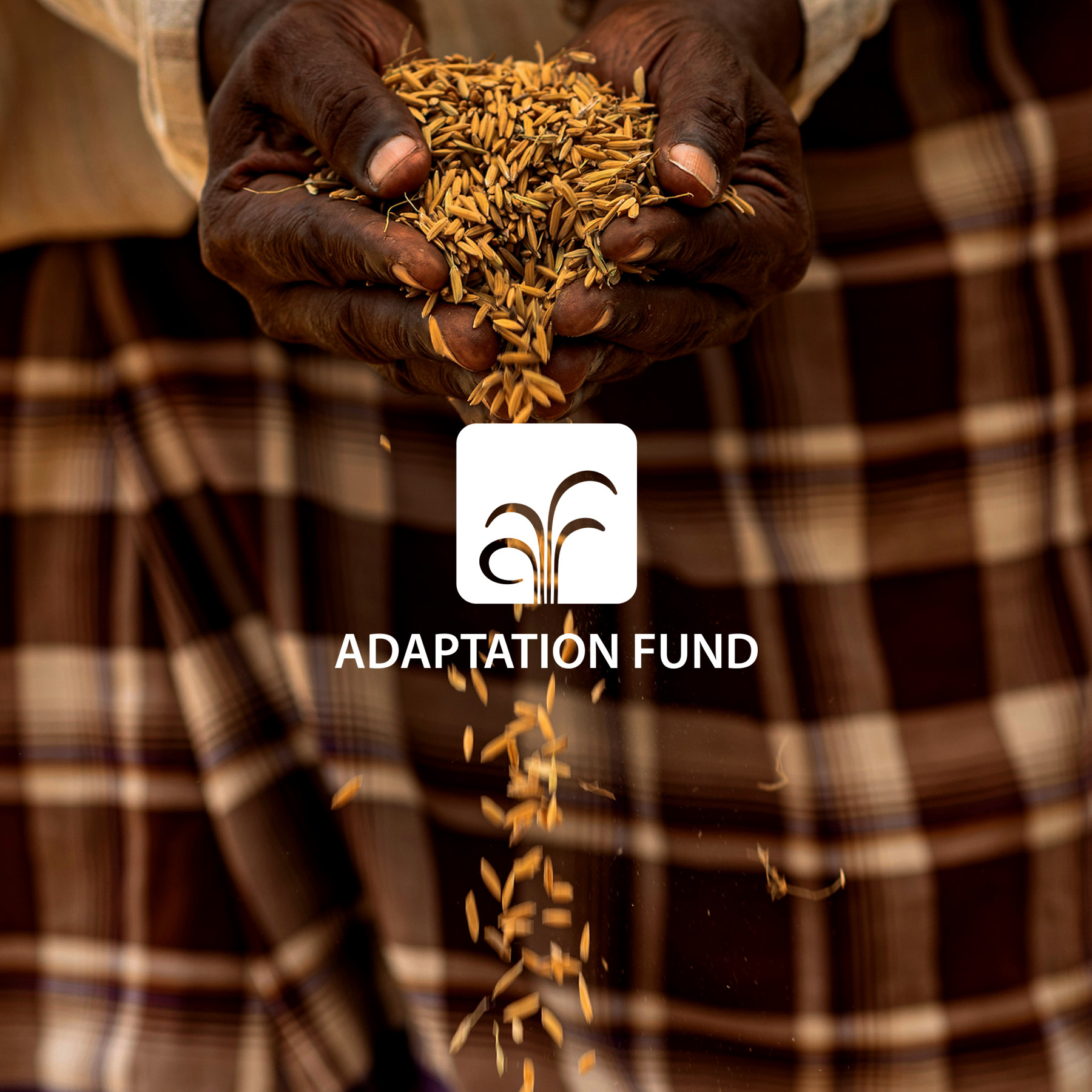 Adaptation Fund
