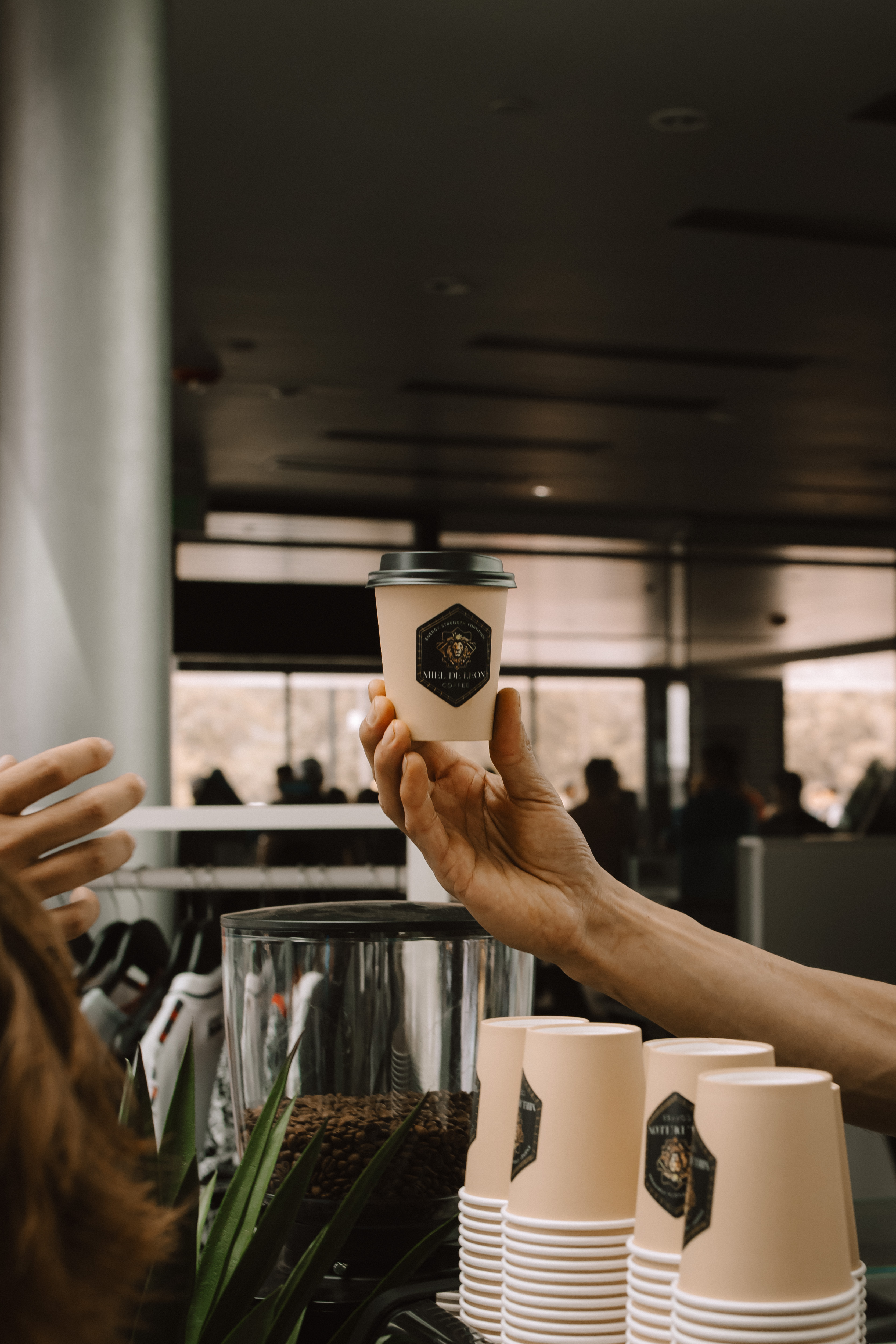 Miel De Leon Coffee specialty coffee catering San Antonio event