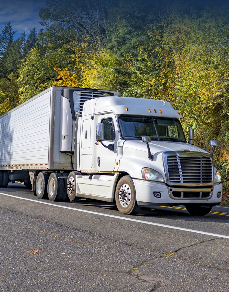 Reefer and Cold-Chain Transport