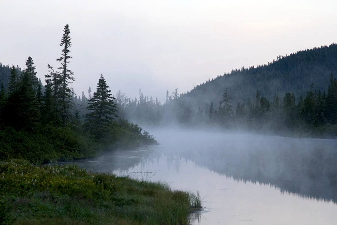 Un paysage de rivière ou de lac embrumé au petit matin, avec des reflets et des forêts de conifères