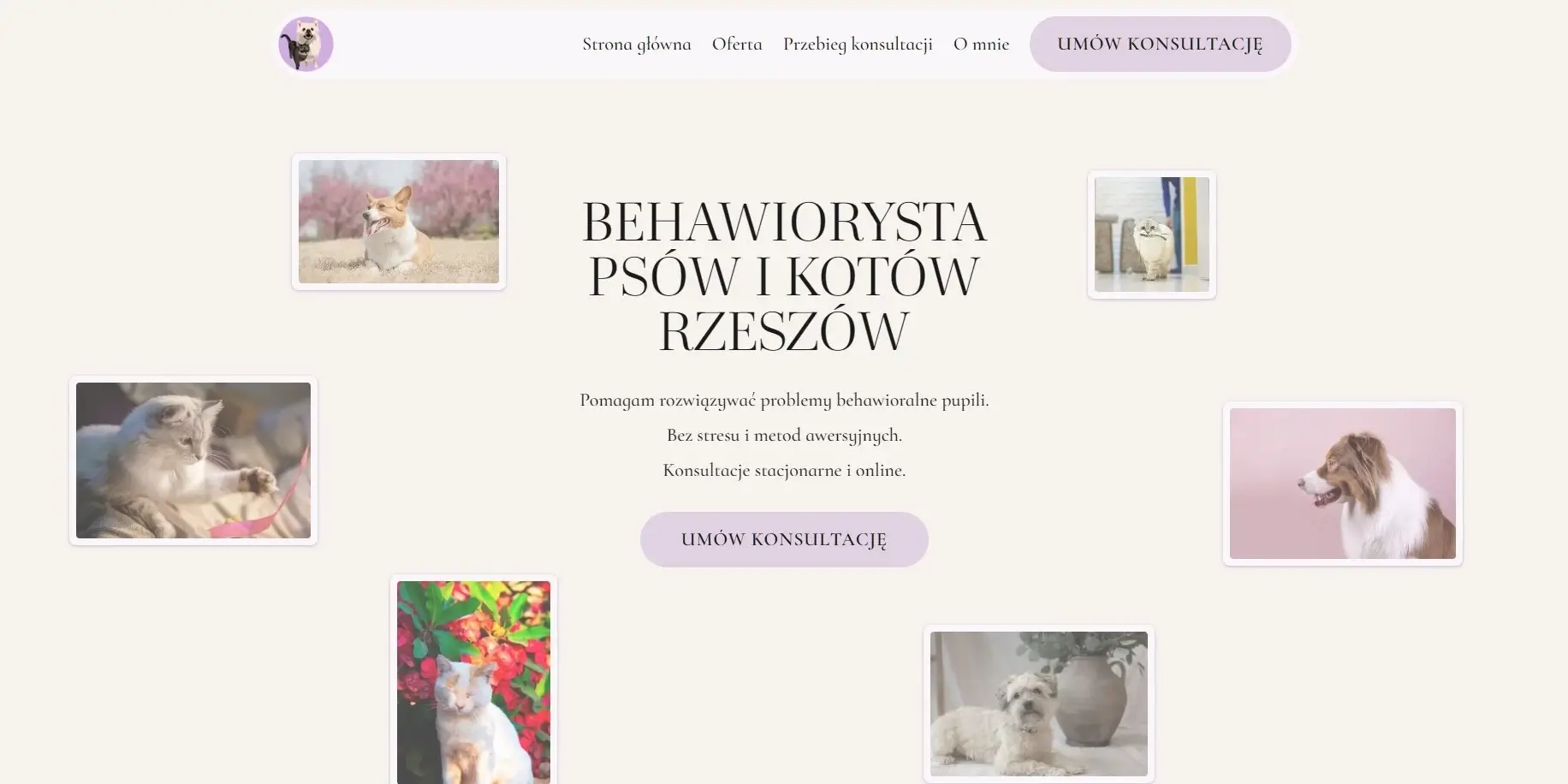 Psychopieski - nagłówek strony głównej w wersji desktopowej