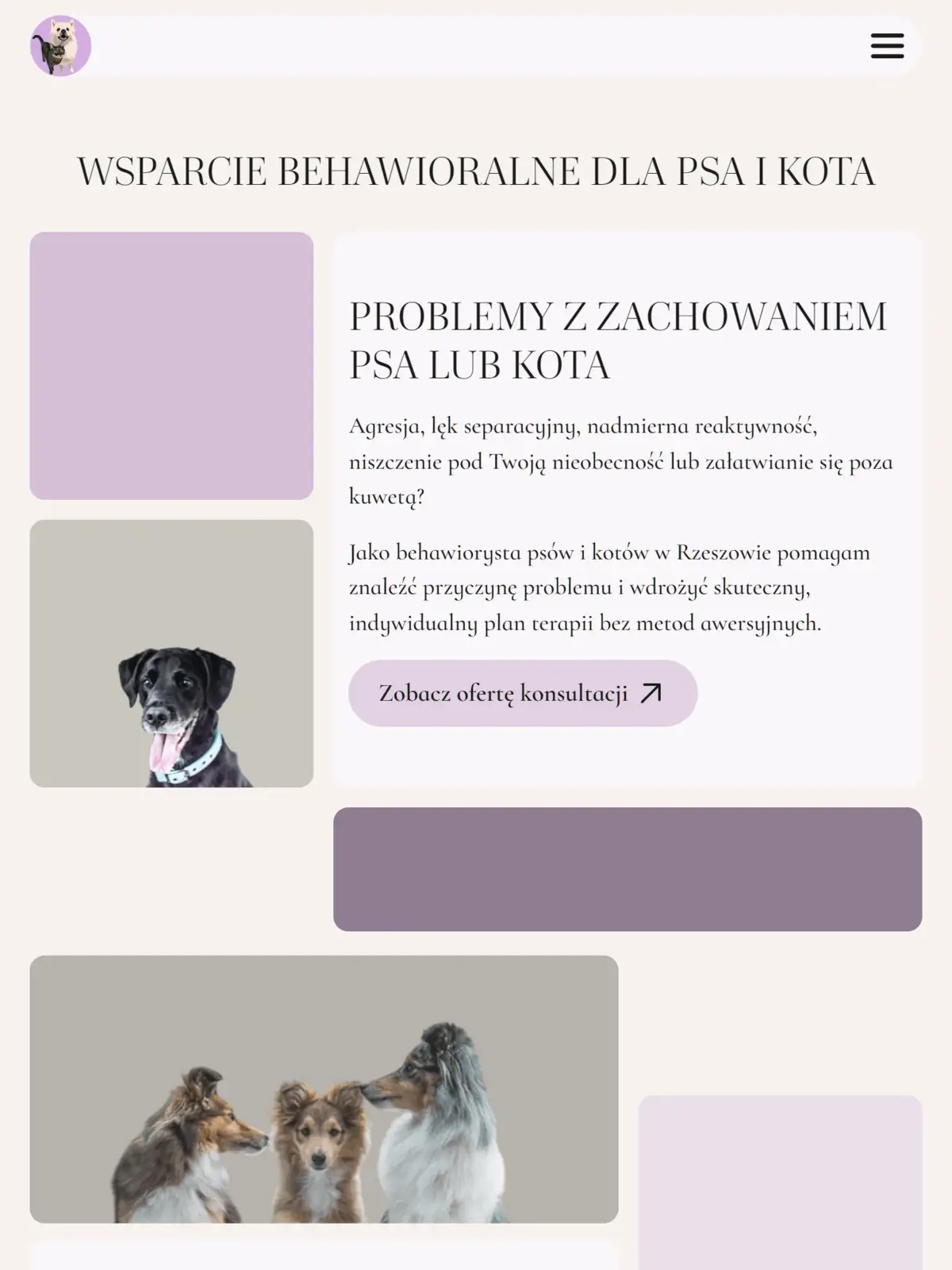 Psychopieski - sekcja grid na stronie głównej w wersji tabletowej