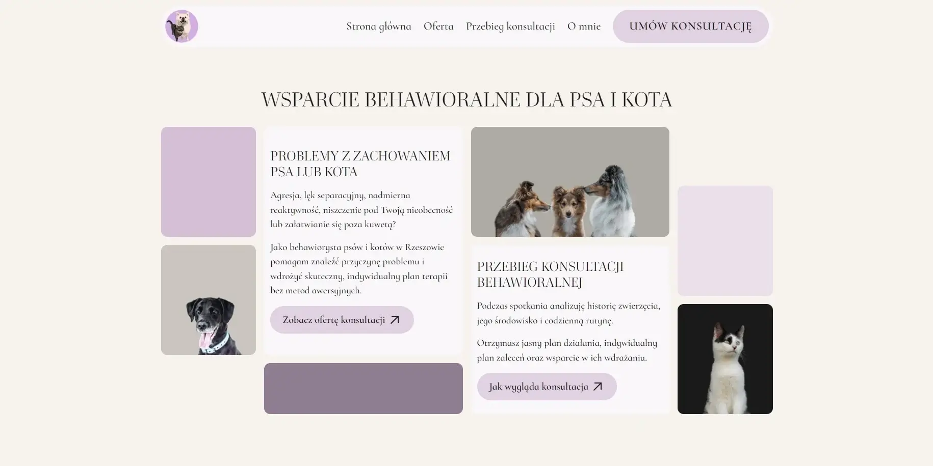 Psychopieski - sekcja grid na stronie głównej w wersji desktopowej
