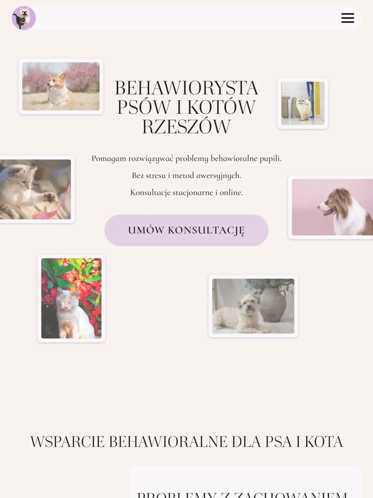 Psychopieski - nagłówek strony głównej w wersji tabletowej