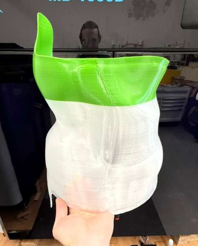 Inner Surface 3D Scan