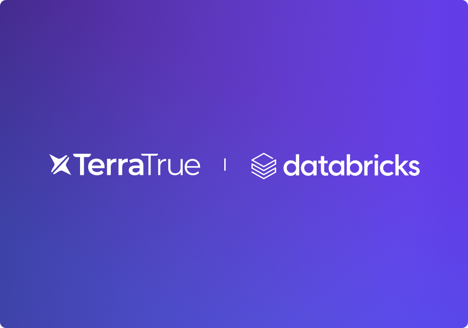 Terratrue and Databricks partnership
