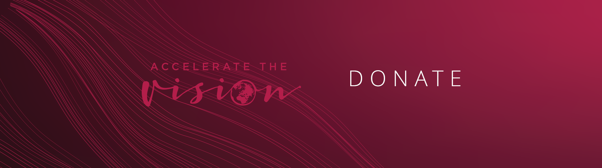 Donate to Accelerate the Vision