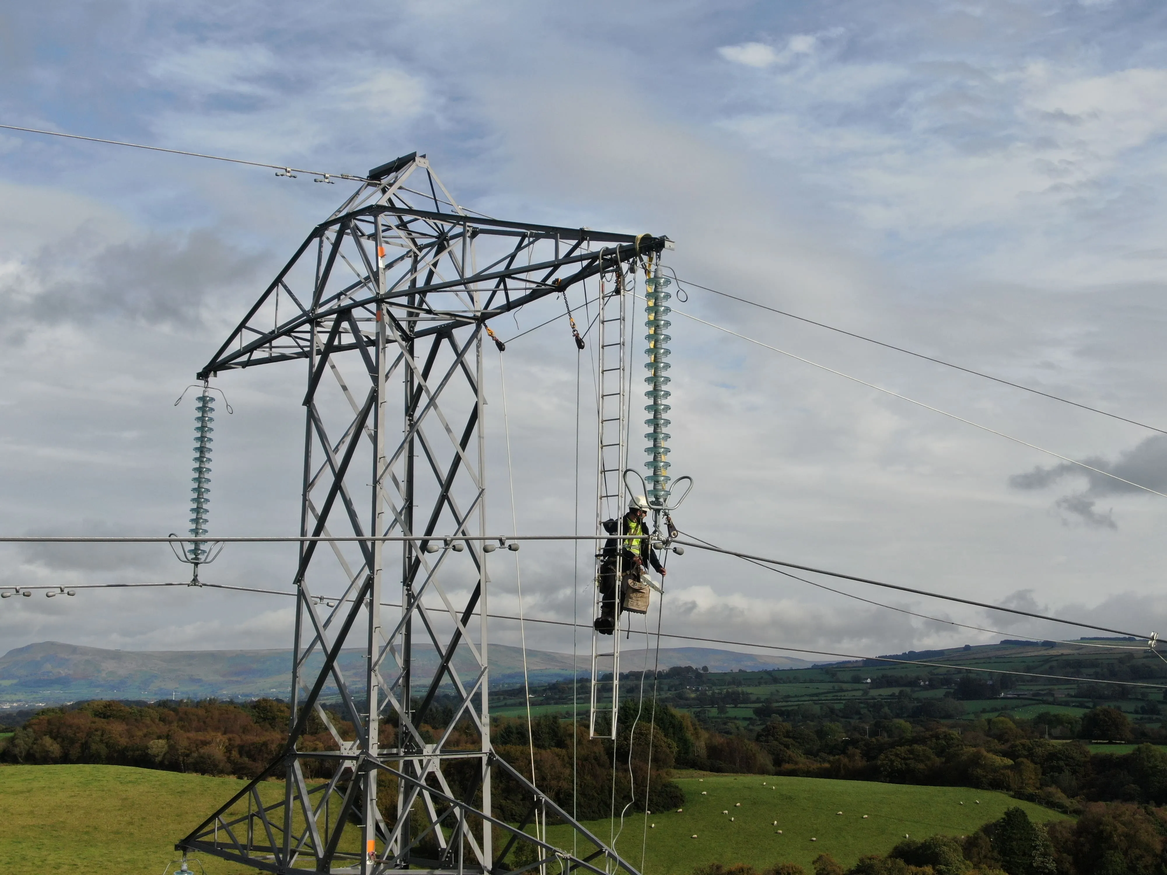 Technician performing maintenance on high-voltage 275 kV transmission line infrastructure.