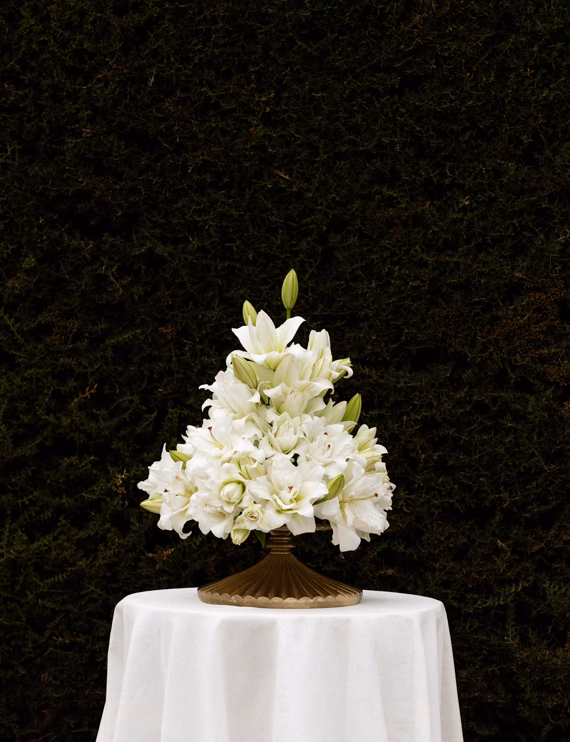 A single arrangement of white lilies rising from a bronze pedestal against deep green.