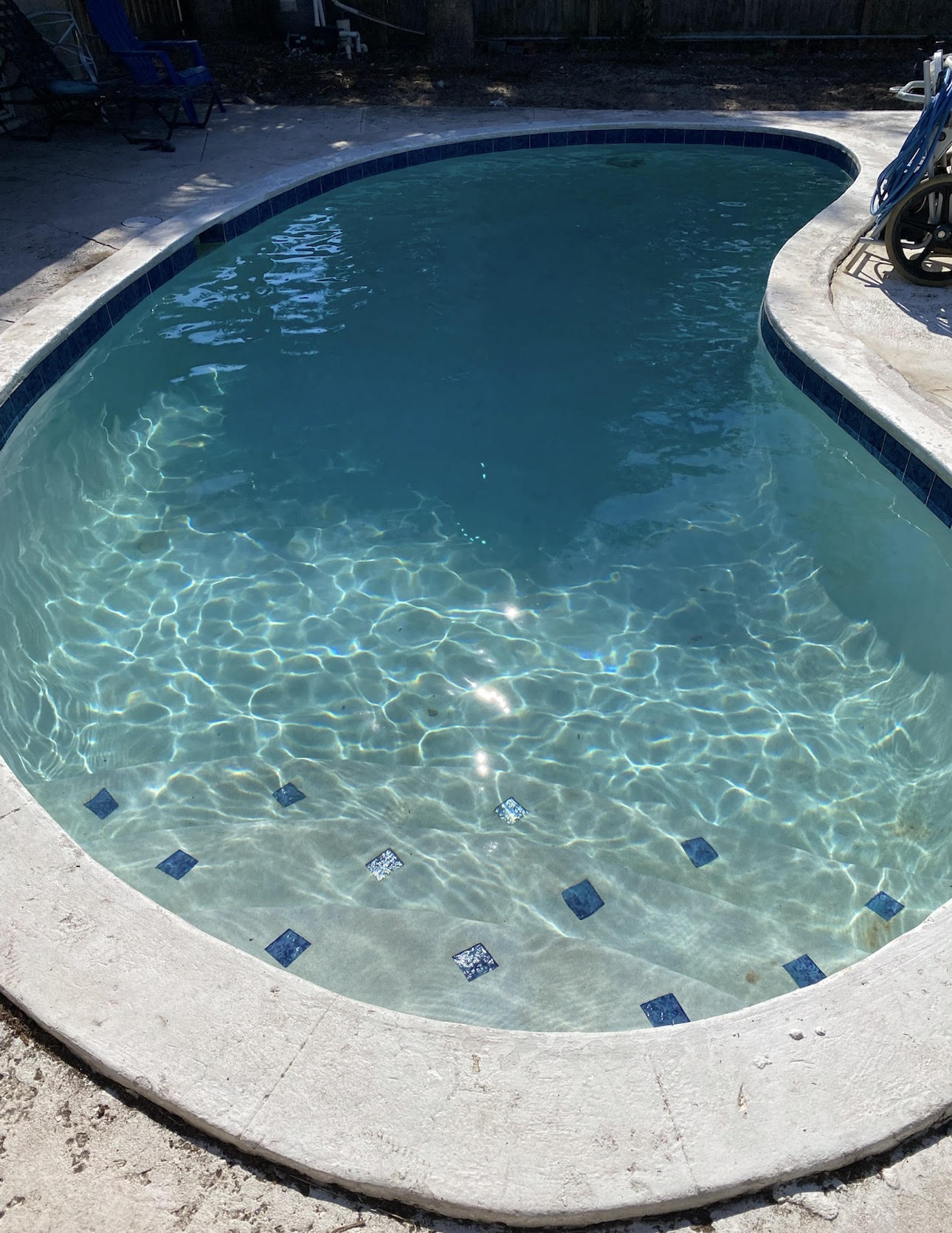 [background image] of a busy pet store environment