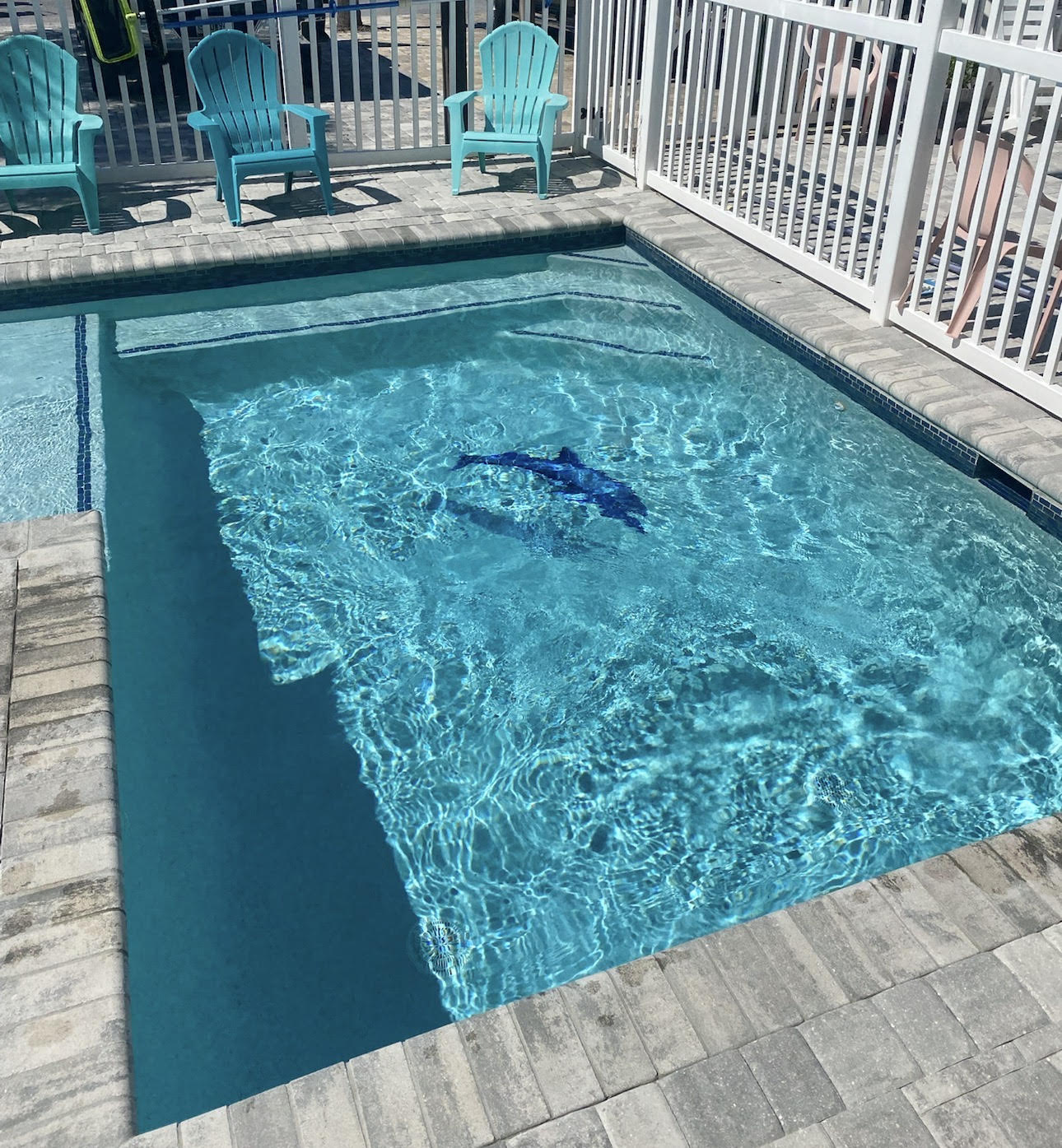 image of tools used in different services (for an automotive service)