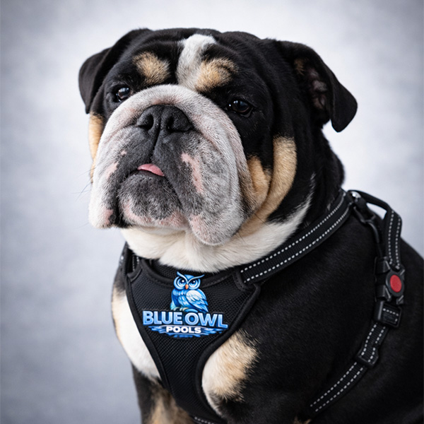 [headshot] image of customer (for a pharmacy)