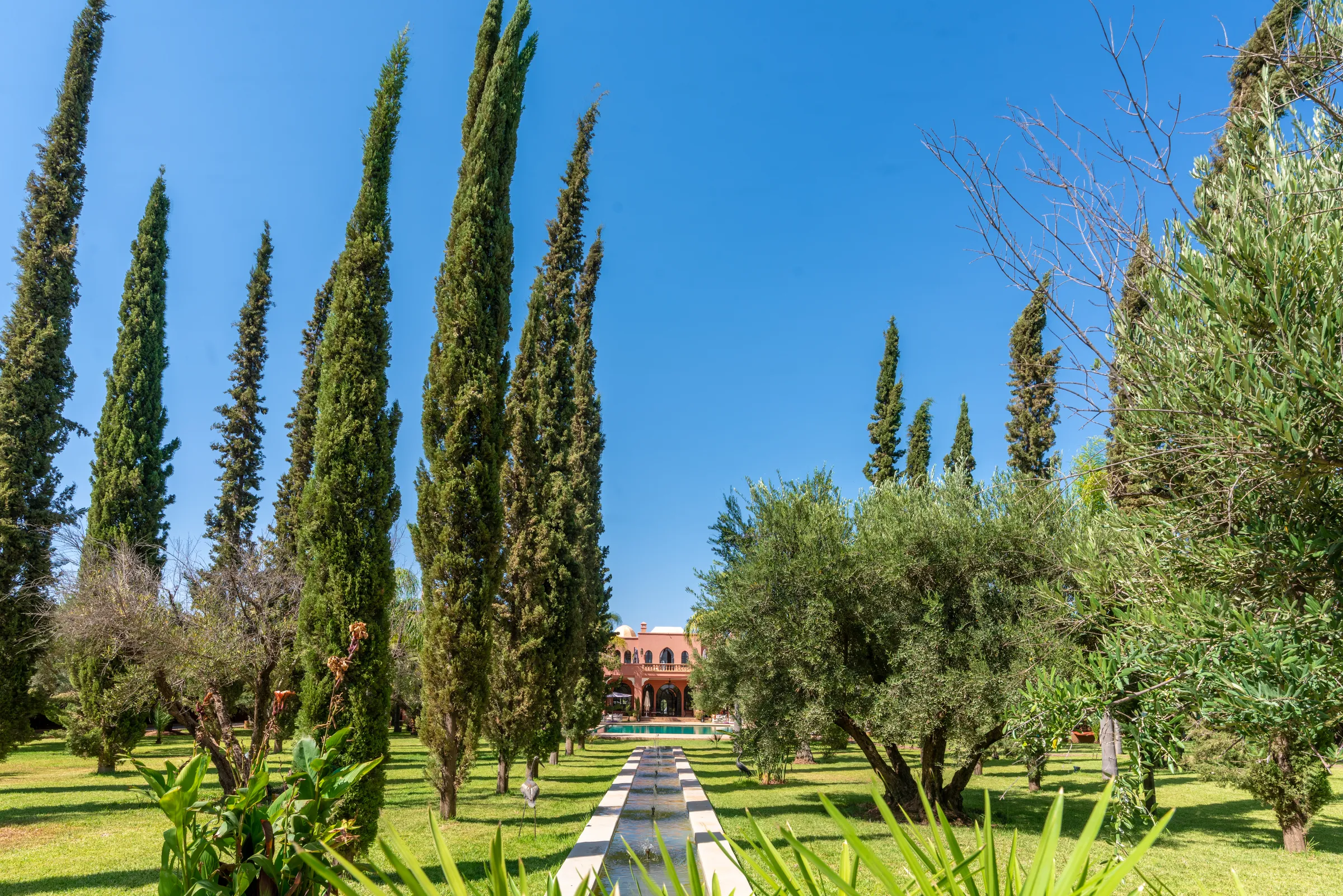 Cypress-lined water canal in the gardens of a villa in Marrakech