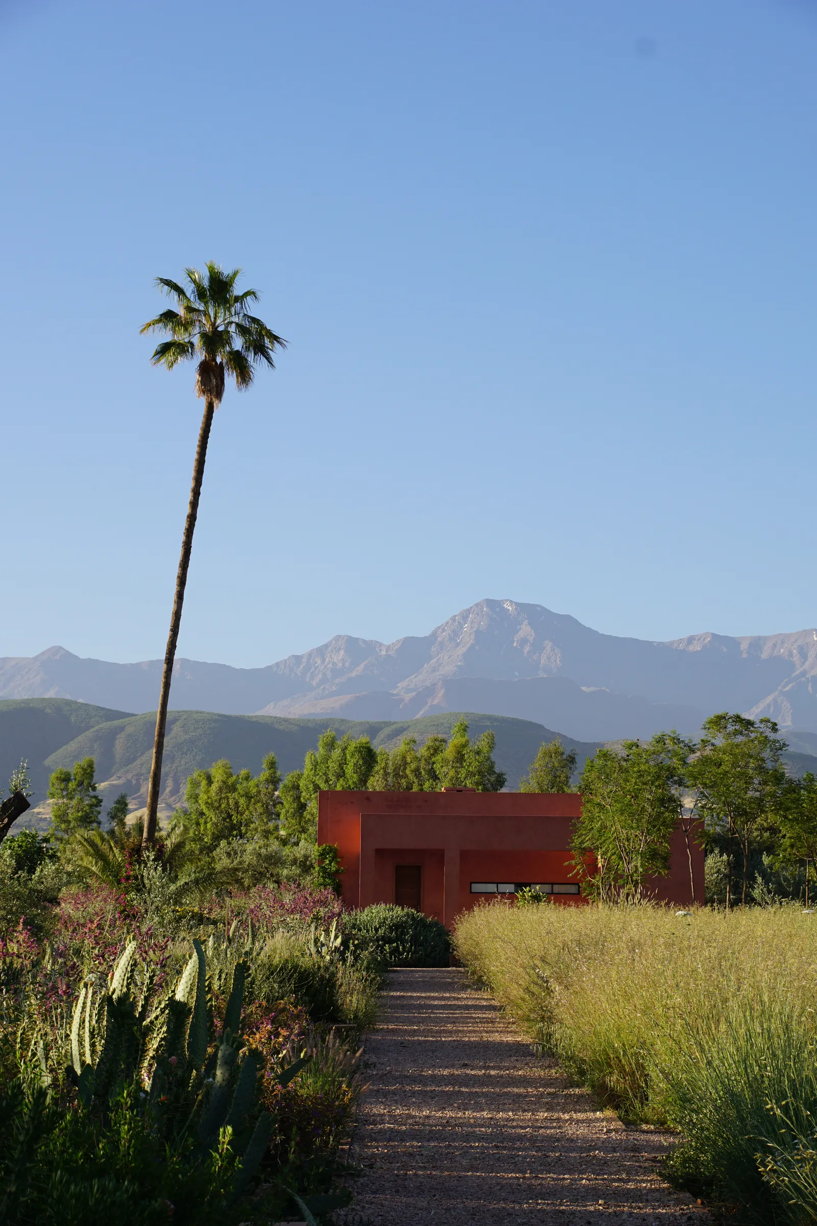 View of the Atlas mountains from a private estate near Marrakech