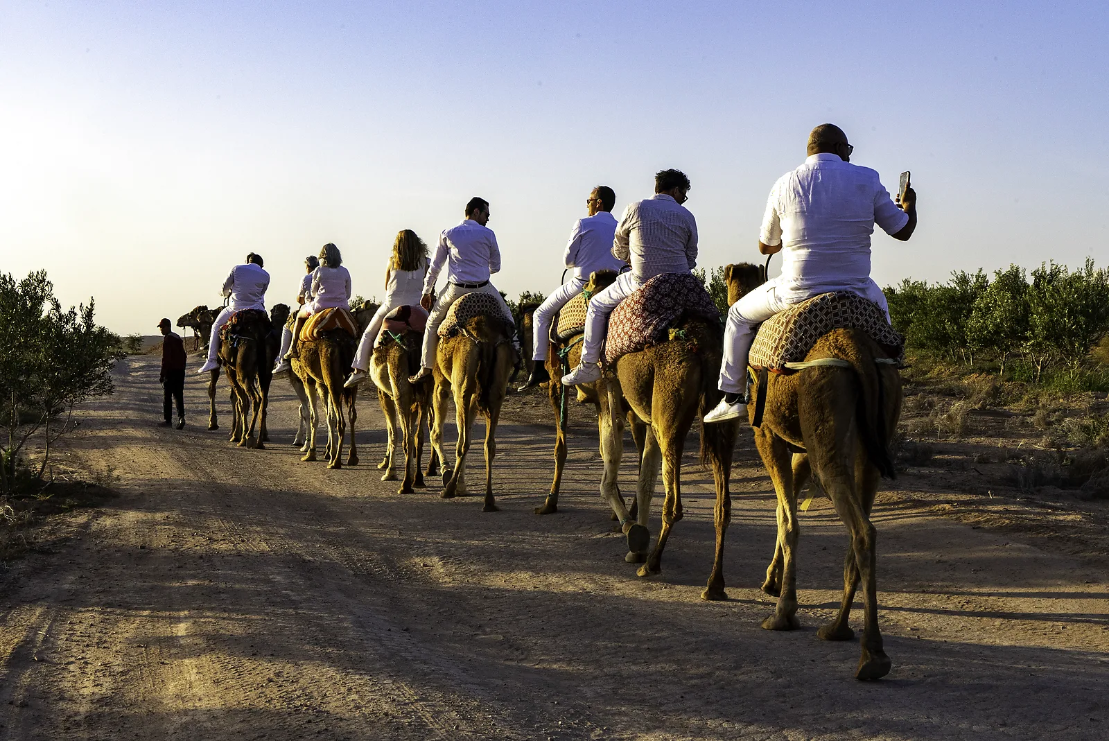 A team riding camels at golden hour during a corporate retreat near Marrakech
