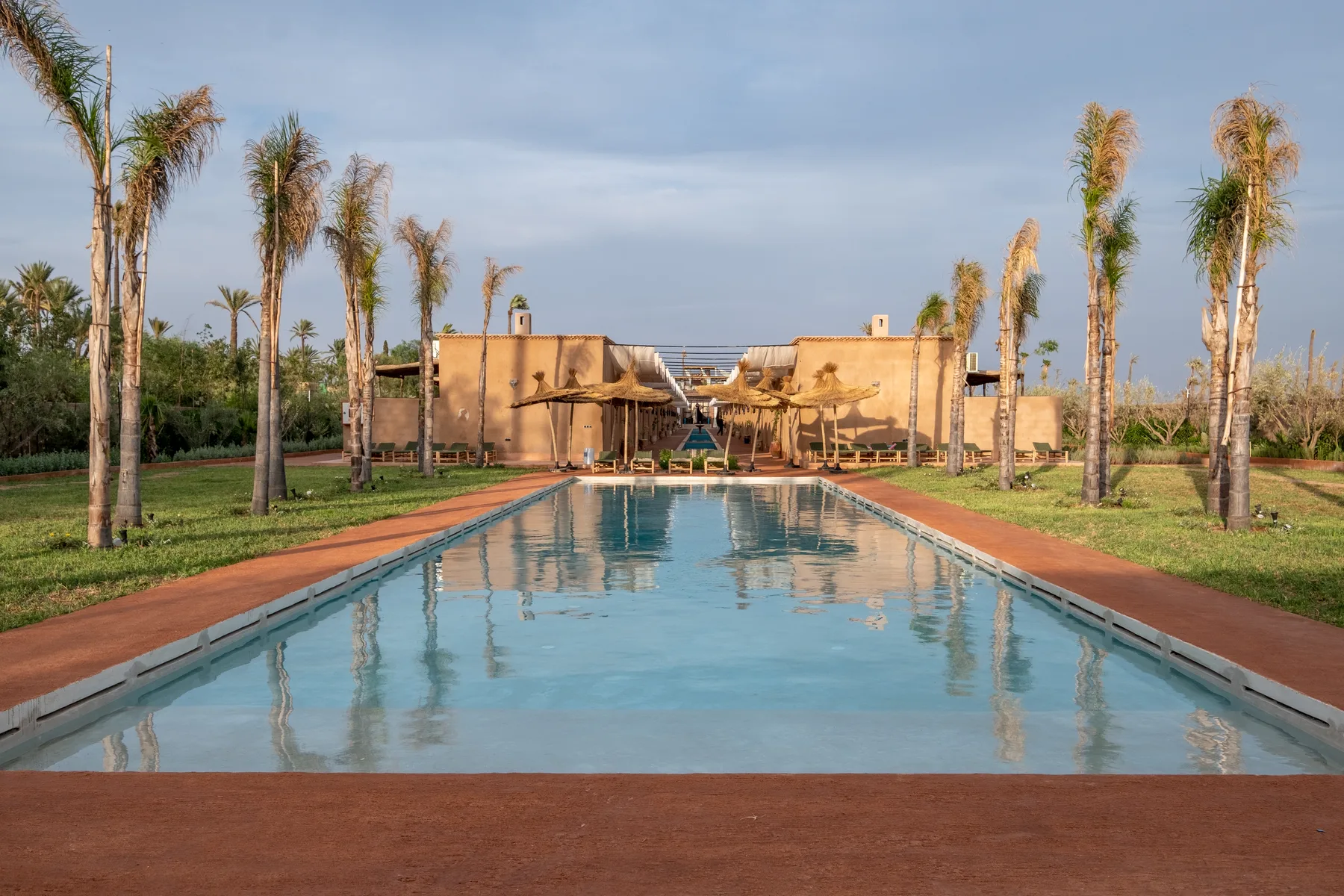 Villa Moira, celebration villa in the Palmeraie, Marrakech, pool at first light among the palms. The Marrakech Curator.
