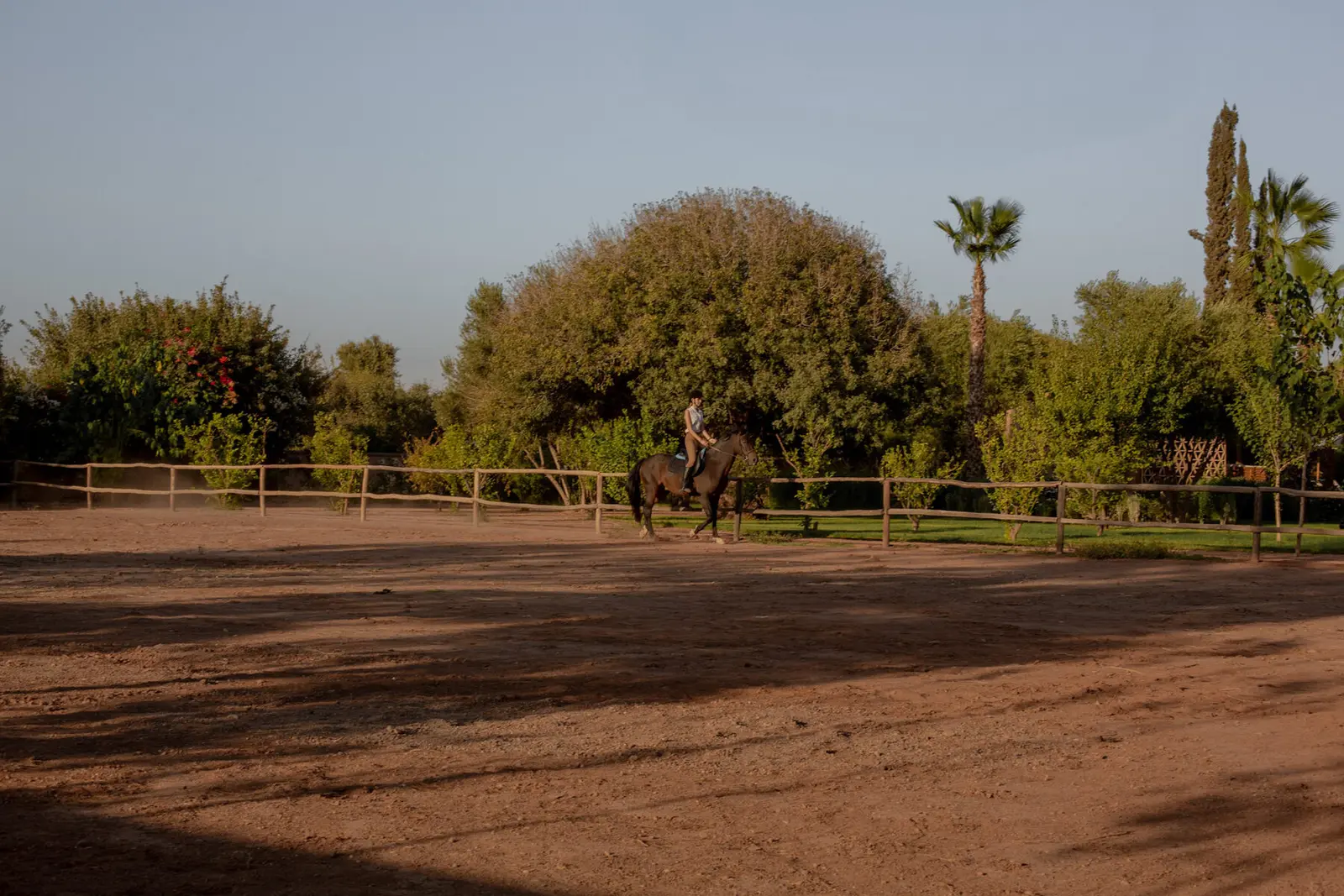 Villa Pegasos, private estate near Marrakech, equestrian arena and stables. The Marrakech Curator.