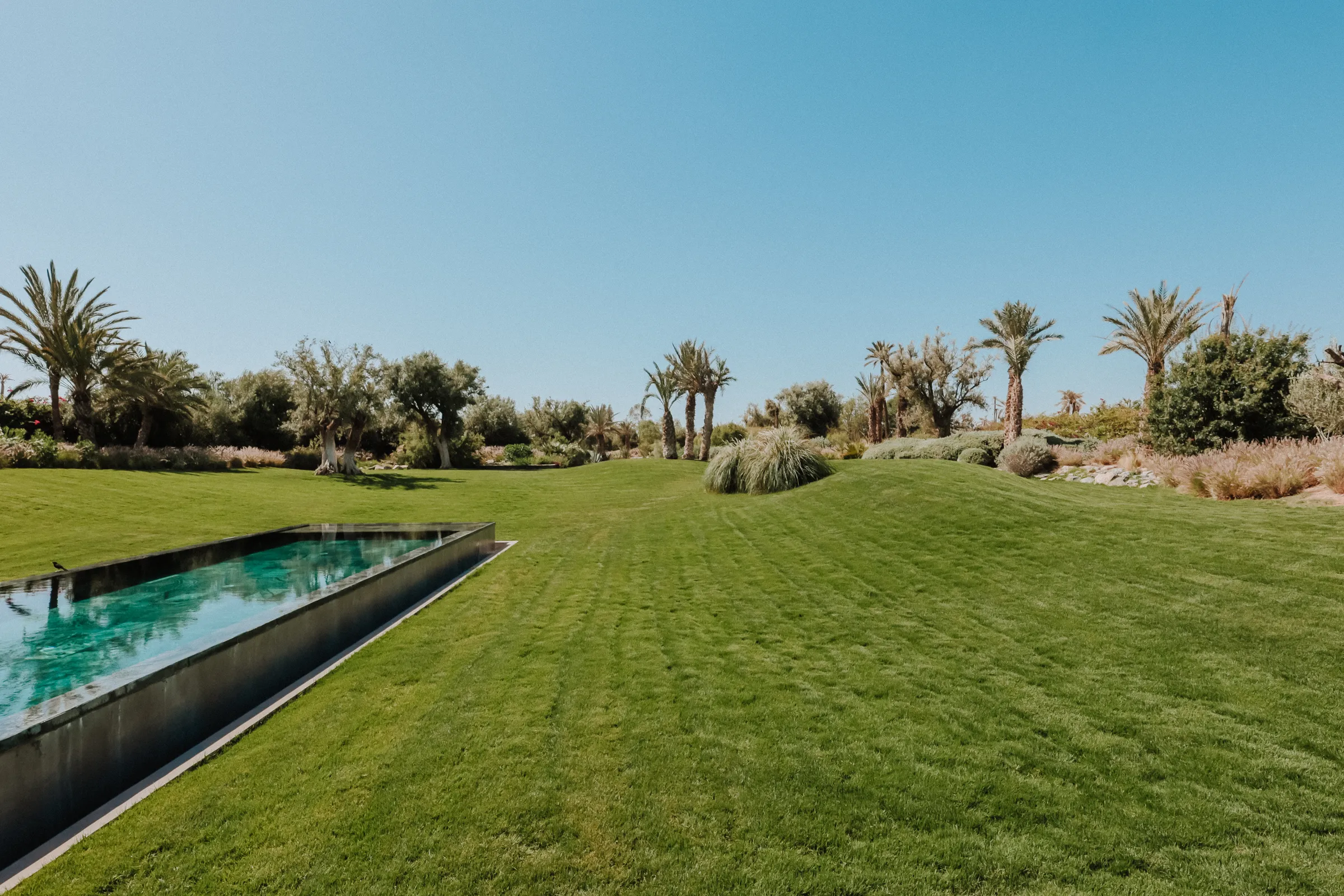 Villa Kalliope, private villa rental in the Palmeraie, Marrakech: garden lawn and pool