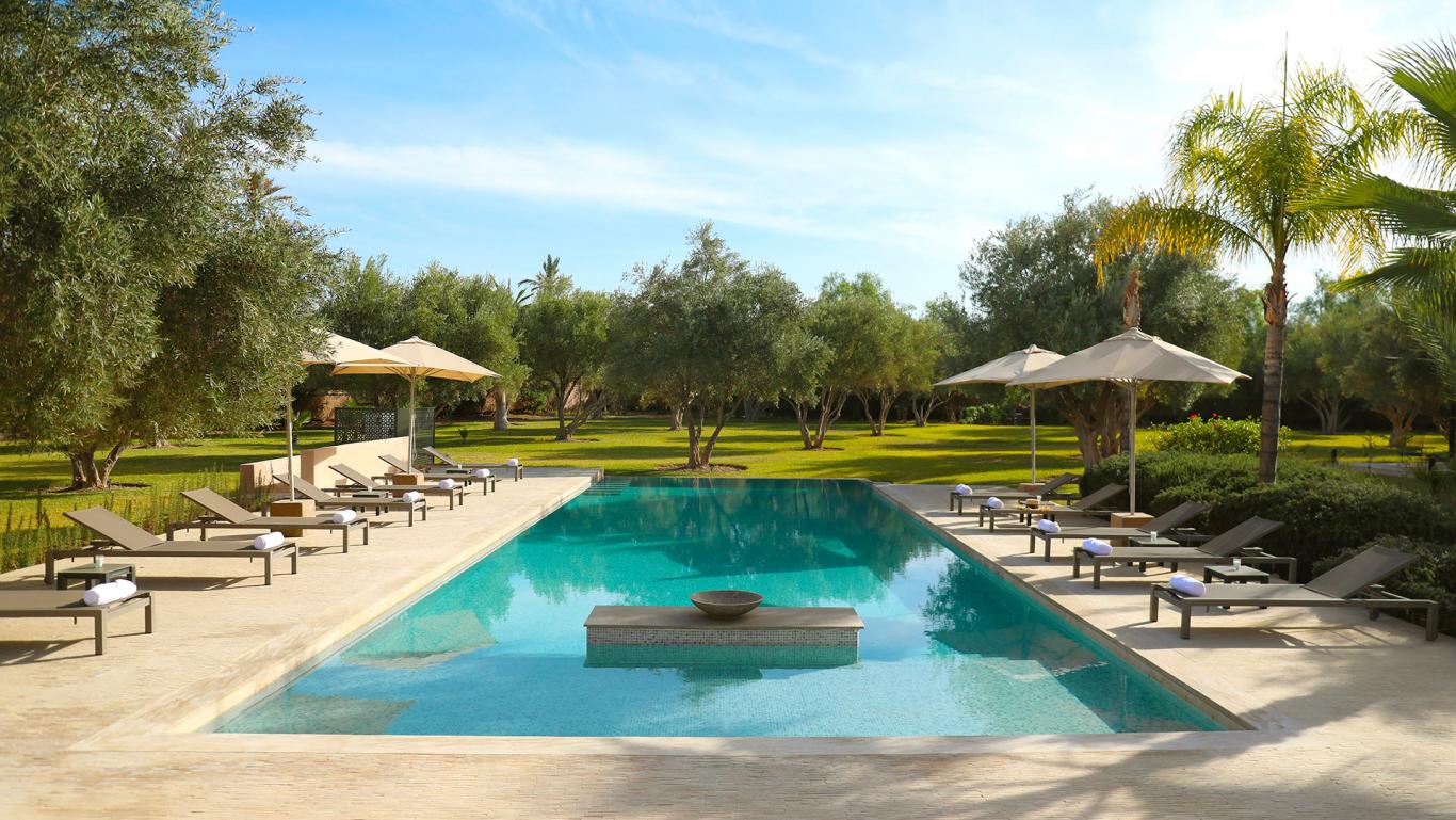 Villa Eos, private villa rental in the Palmeraie, Marrakech: long private pool among olive trees