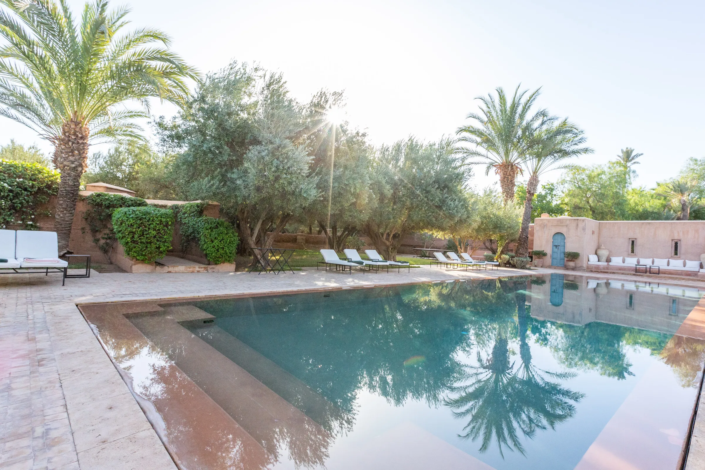 Villa Amalthea, location de villa privée dans la Palmeraie à Marrakech : piscine bordée de palmiers et d'oliviers