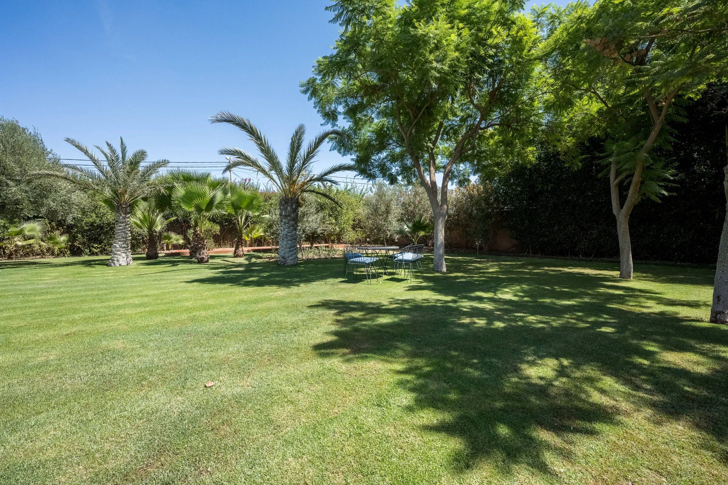 Villa Elara, private villa rental on the Route de Ouarzazate, Marrakech: large lawn shaded by palm trees and tall trees