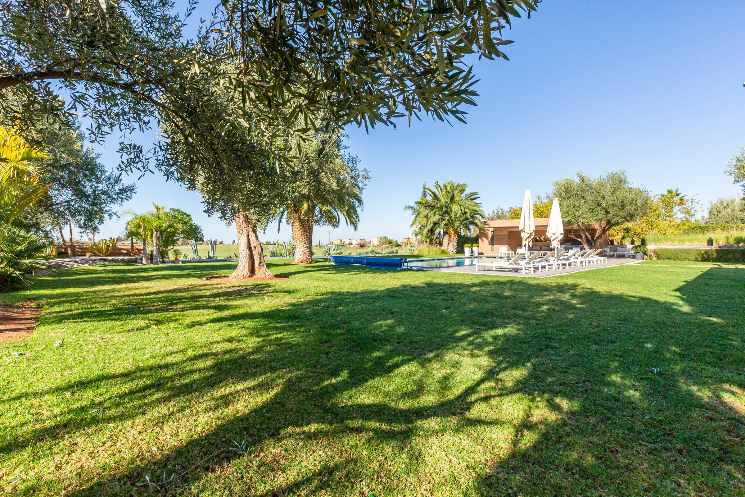 Villa Ismene, private villa rental at Samanah Golf, Marrakech: lawn under olive trees