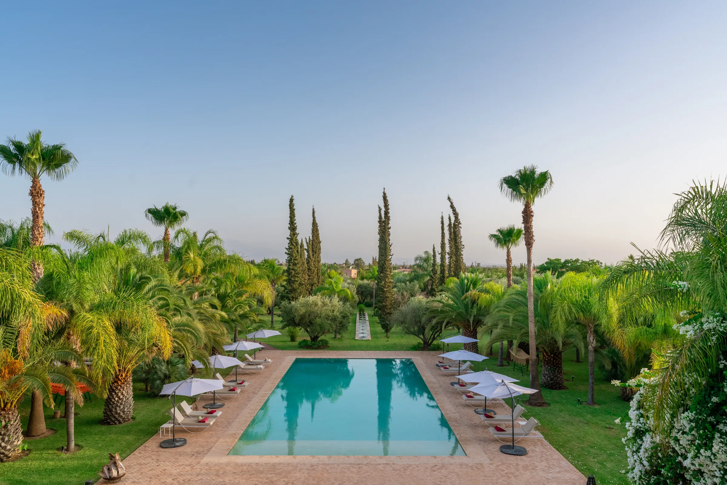 Villa Lyra, private villa rental in Ouled Hassoune, Marrakech: swimming pool among palm and cypress trees