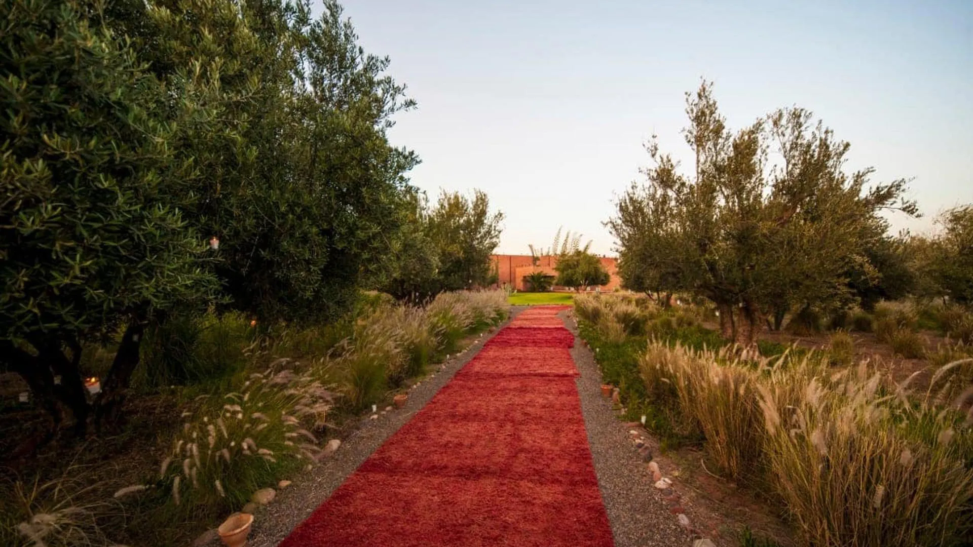 Villa Phaedra, private estate rental in Ouled Hassoune, Marrakech: path through the olive grove