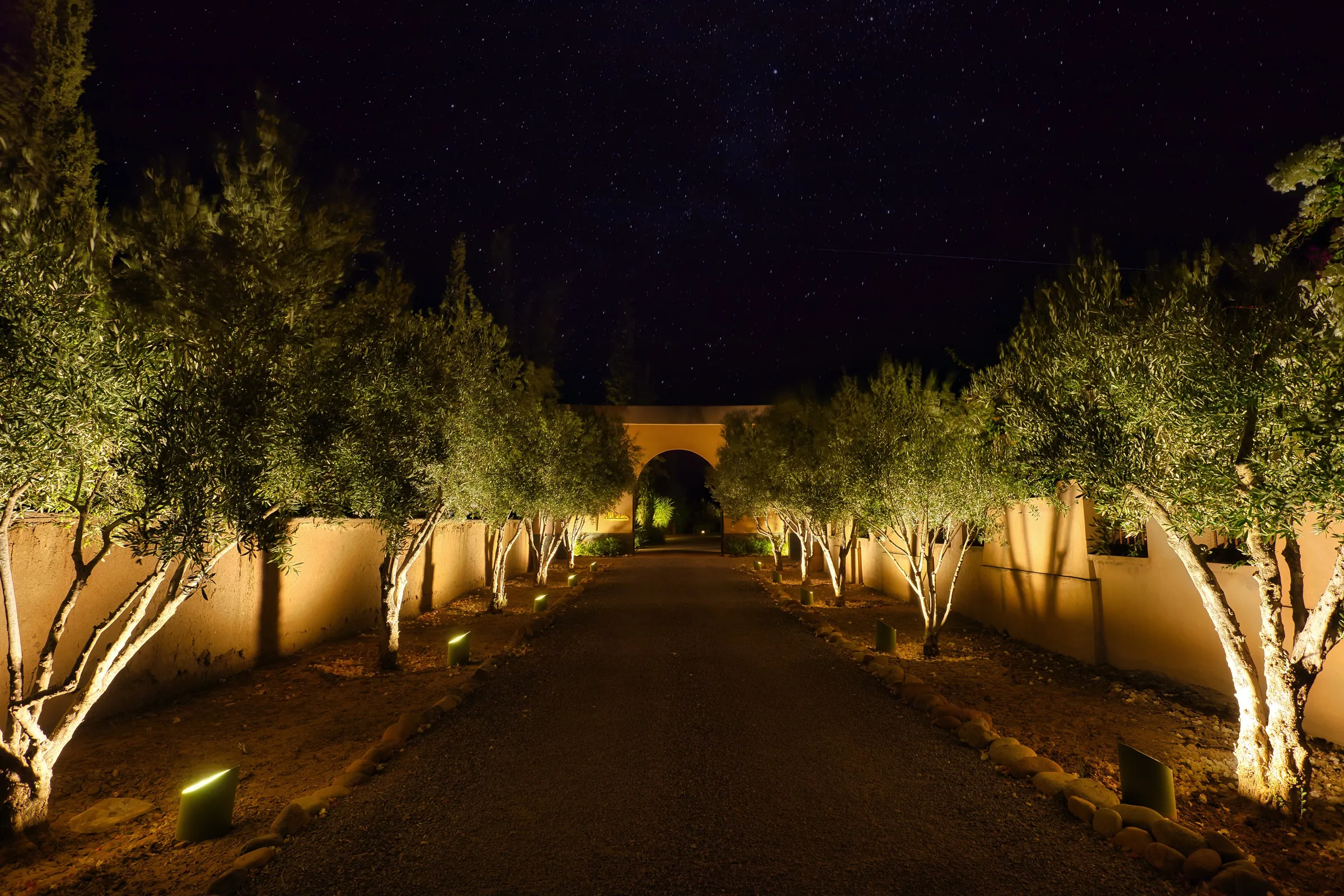 Villa Theia, private villa rental on the Route de l'Ourika, Marrakech: driveway lined with lit olive trees at night