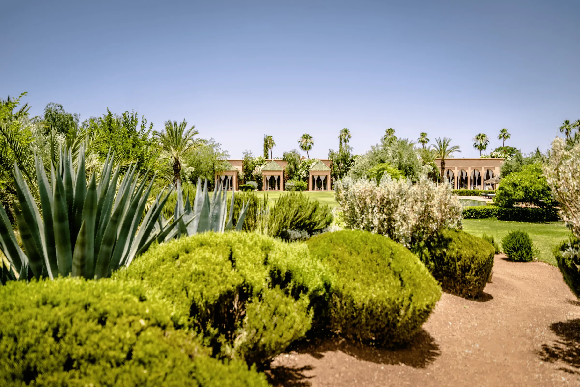 Villa Danae, private villa rental in Sidi Abdellah Ghiat, Marrakech: garden of succulents and shrubs