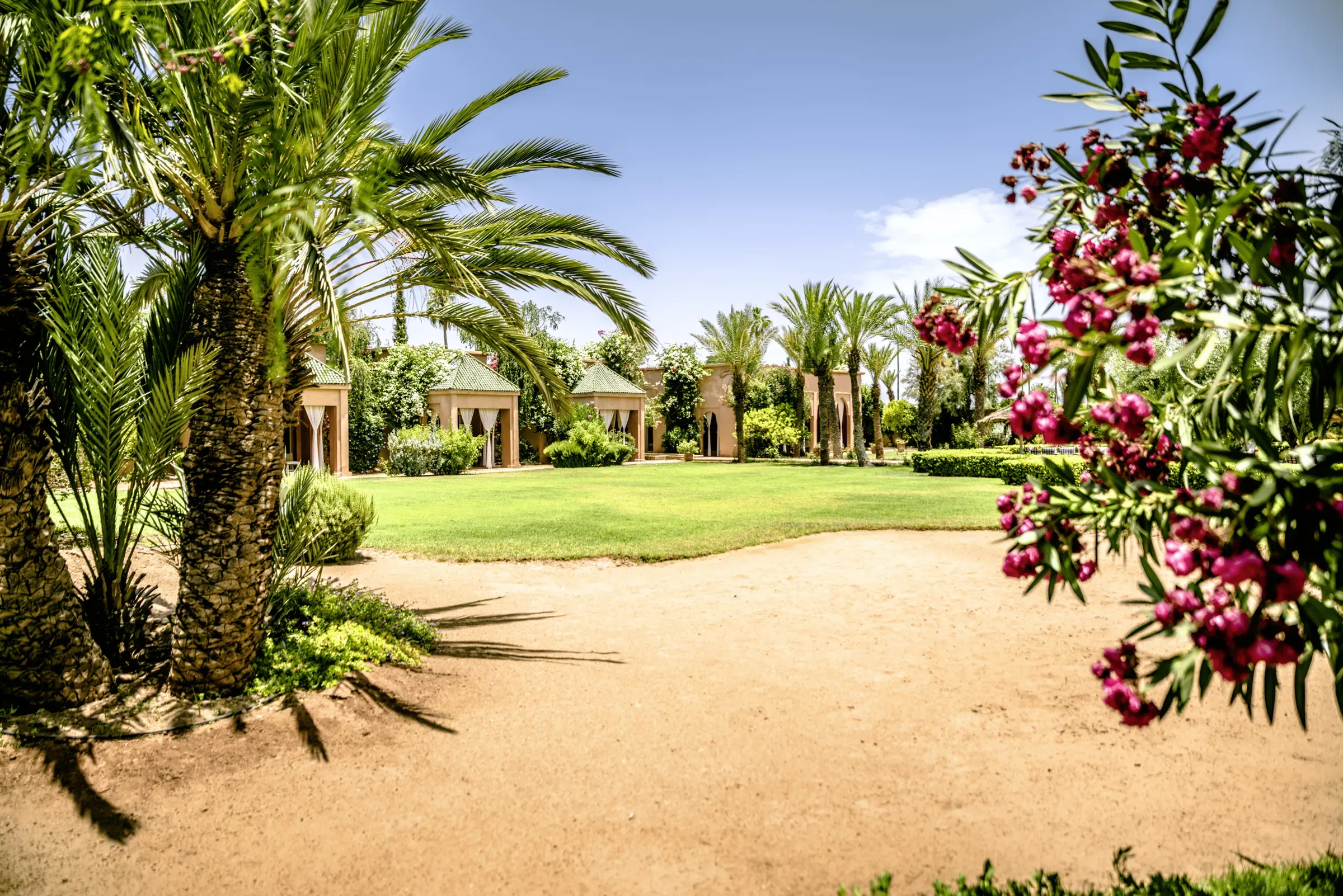 Villa Danae, private villa rental in Sidi Abdellah Ghiat, Marrakech: garden path among palm trees