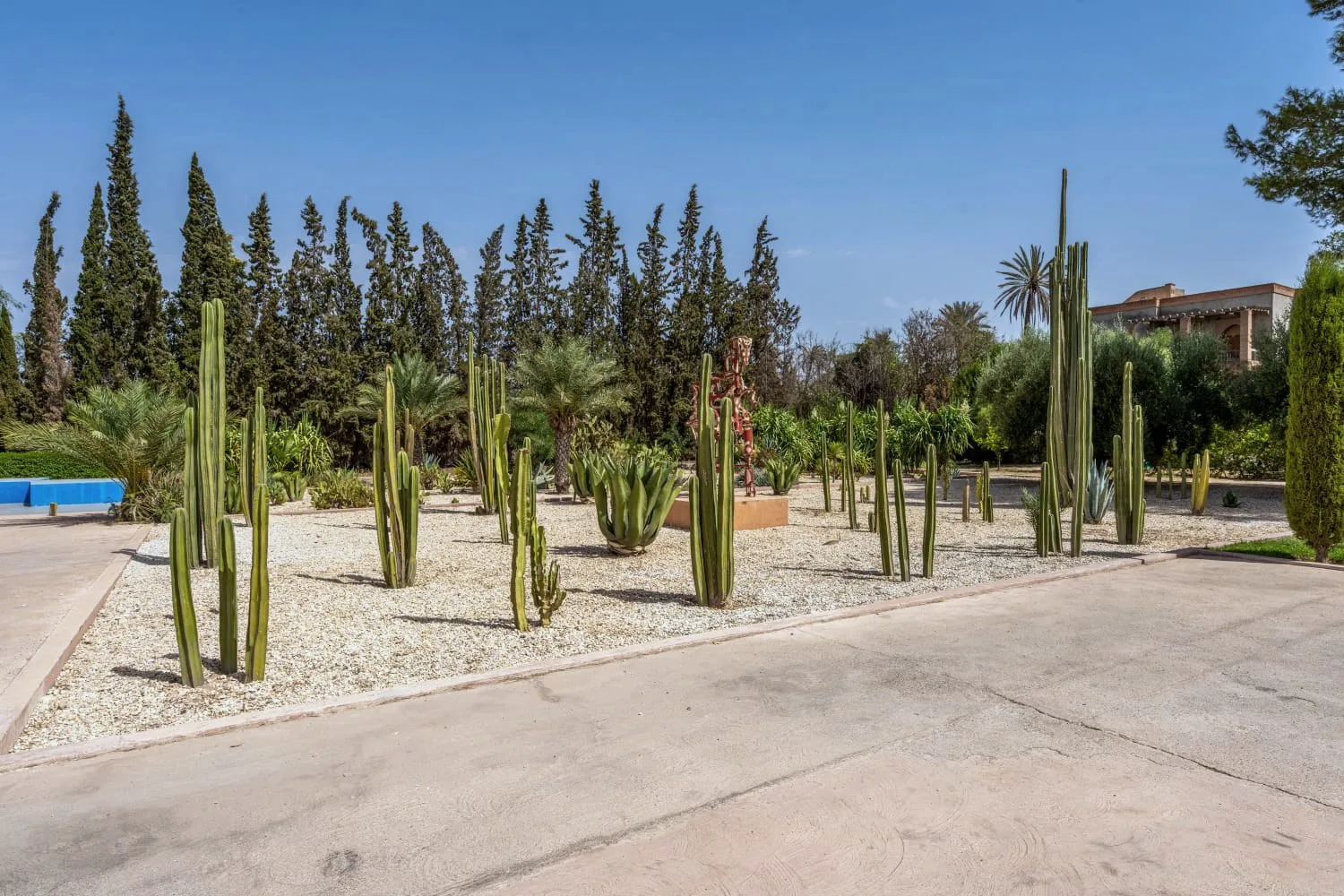 Villa Ianthe, private villa rental in the Palmeraie, Marrakech: cactus garden