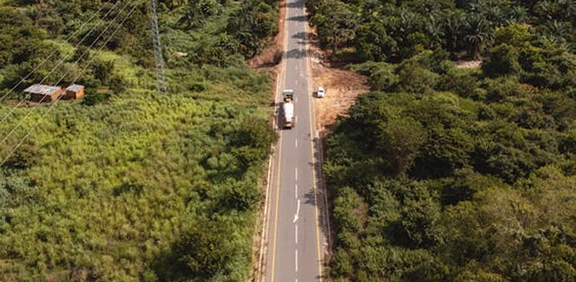 auremin-road-cutting-through-dense-green-forest